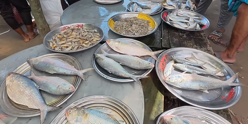 ক্যালসিয়াম সমৃদ্ধ খাবার মাছ