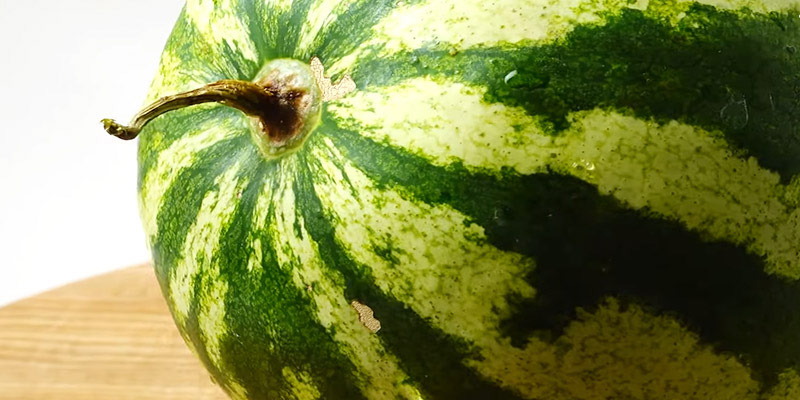 তরমুজ খাওয়ার উপকারিতা