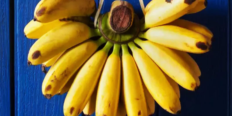 নিয়মিত কলা খাওয়ার উপকারিতা