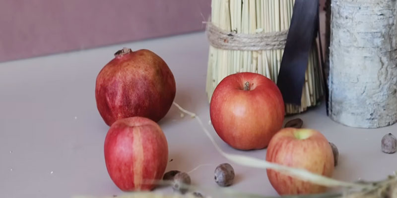 ফল -ডায়াবেটিস রোগীর খাদ্য তালিকা