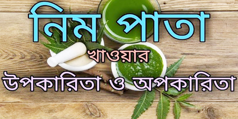 নিম পাতার উপকারিতা ও অপকারিতা